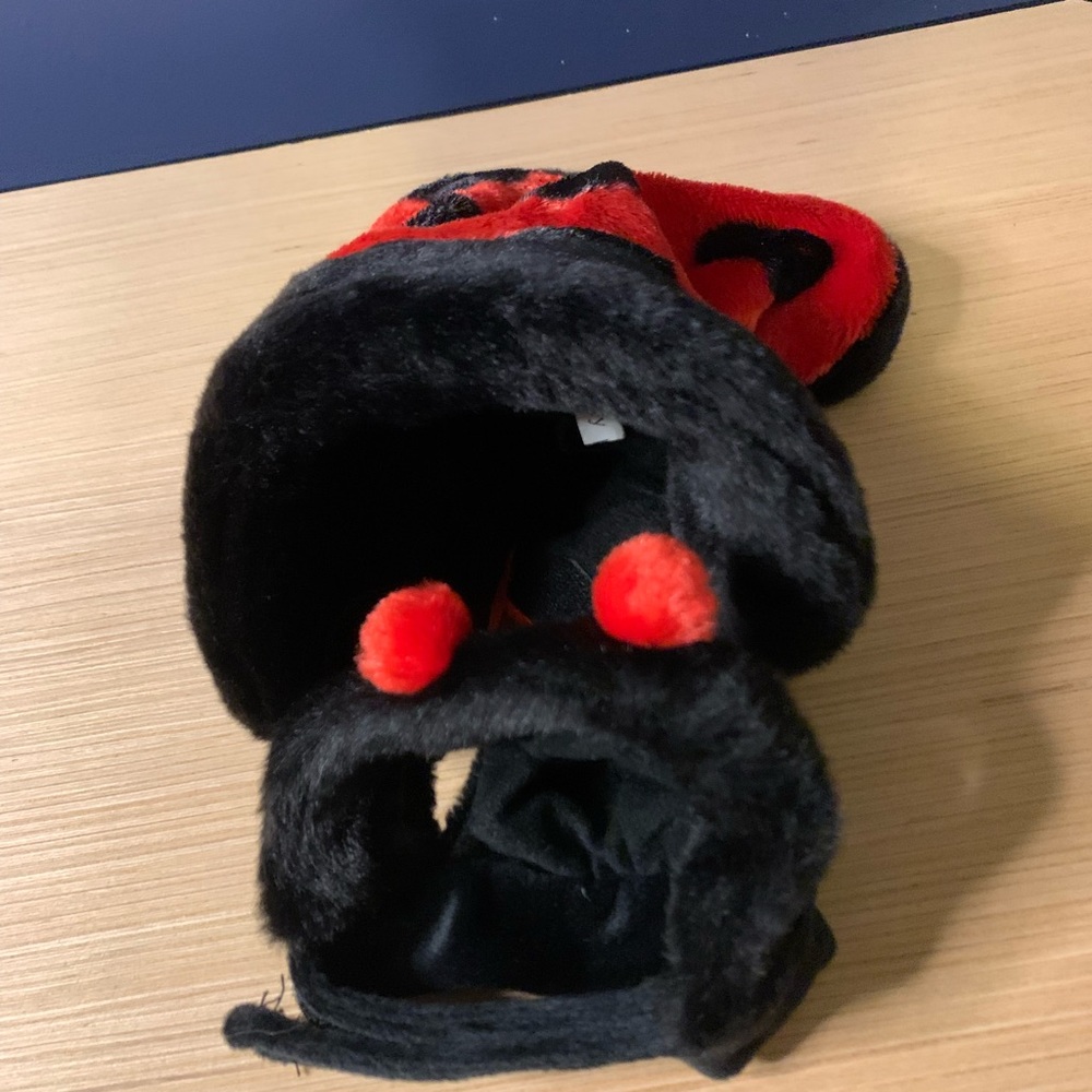 Lady Bug Dog Costume Size Small. Clean, never worn.